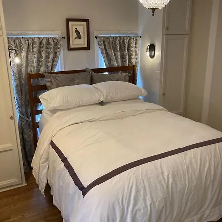 Pineapple House, Spacious 1St Floor Apartment! City Center! 96 Walk Score! Free Parking! DEN Extérieur photo