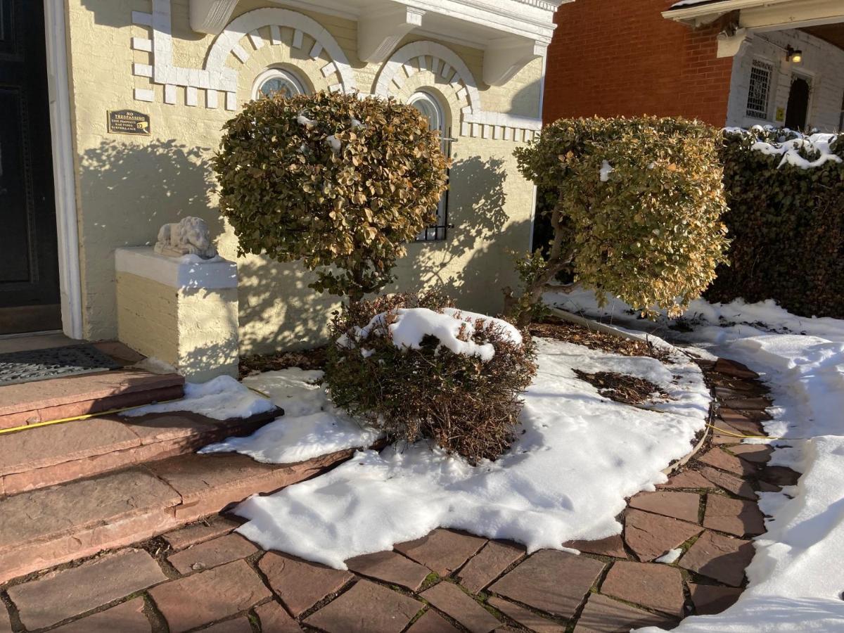 Pineapple House, Spacious 1st Floor Apartment! Center! 96 Walk Score! Free Parking! Appartement
